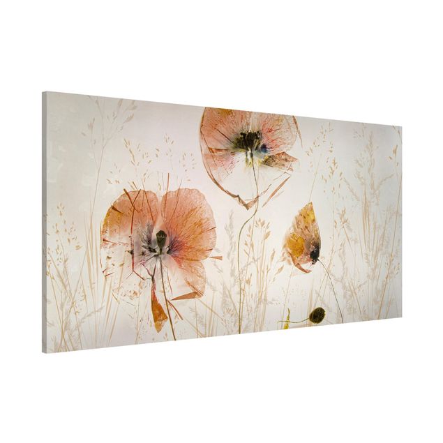 Kitchen Dried Poppy Flowers With Delicate Grasses