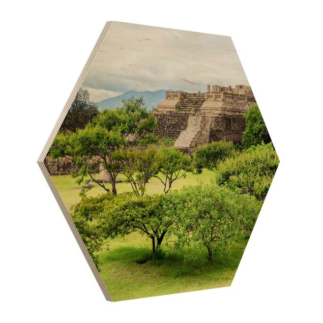 Wood prints Pyramid Of Monte Alban