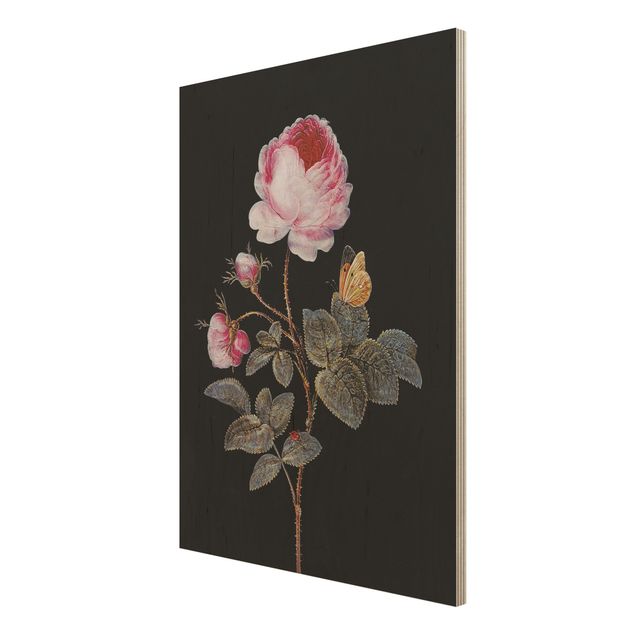 Wood prints flower Barbara Regina Dietzsch - The Hundred-Petalled Rose