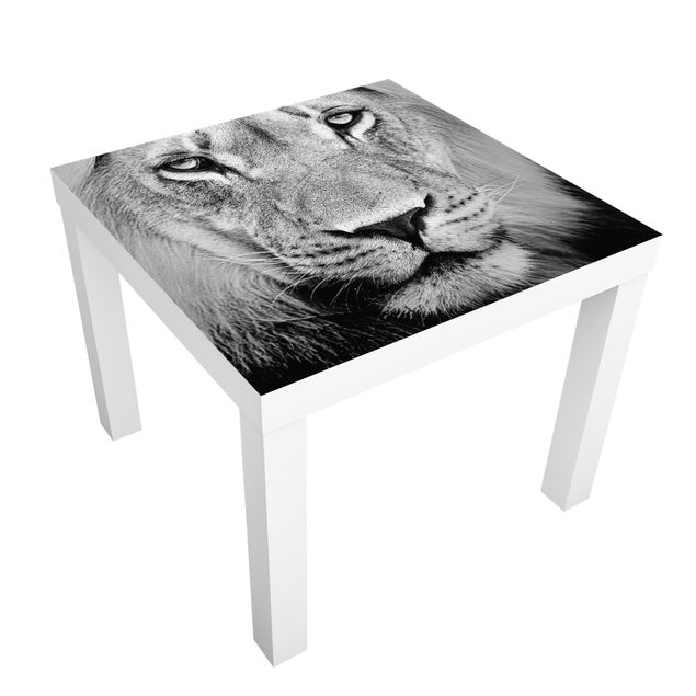 Adhesive films black and white Old Lion