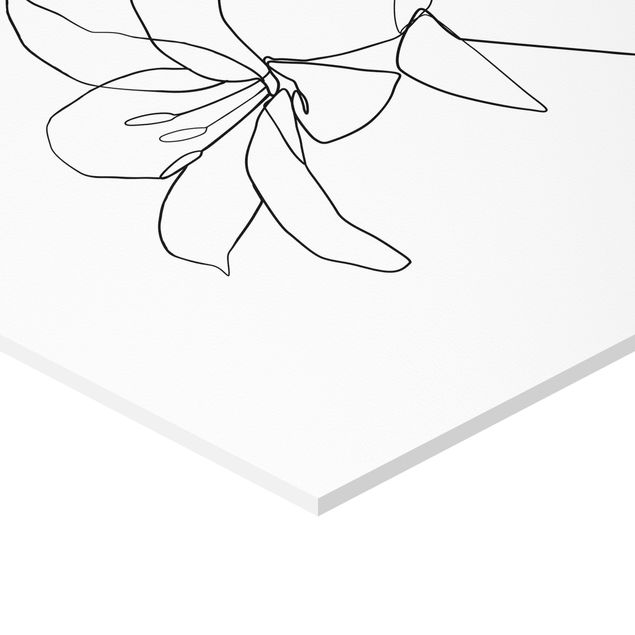 Forex photo prints Line Art Flowers Black White Set