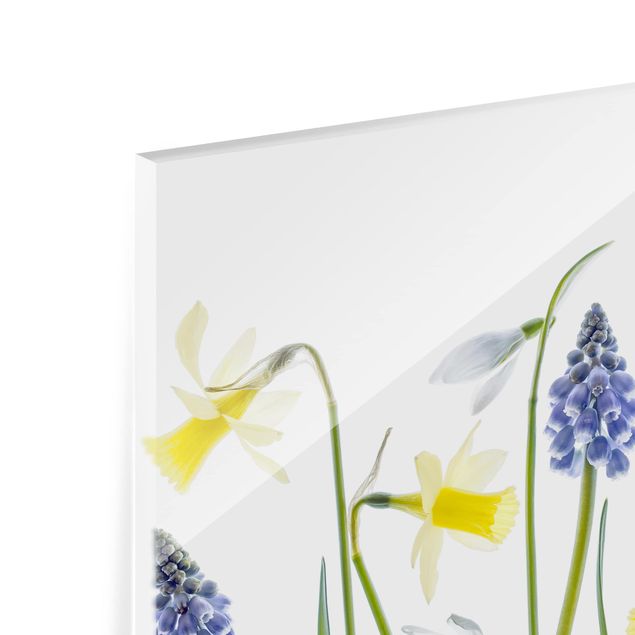 Glass Splashback - Spring Flowering - Landscape 2:3