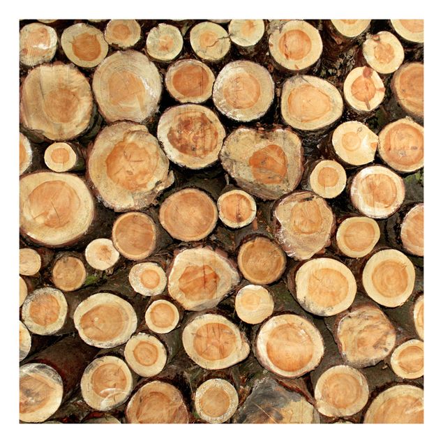 Self adhesive furniture covering No.YK18 Tree Trunks