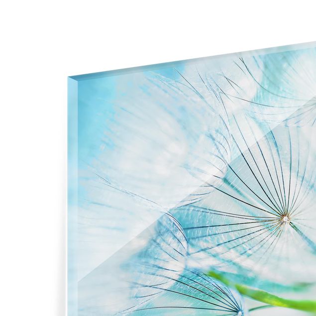 Glass Splashback - Abstract dandelion - Landscape 2:3