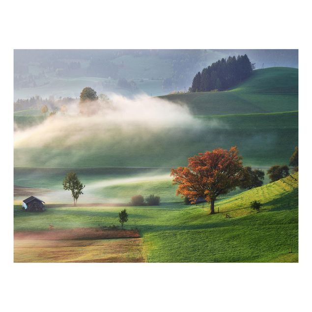 Prints landscape Misty Autumn Day Switzerland