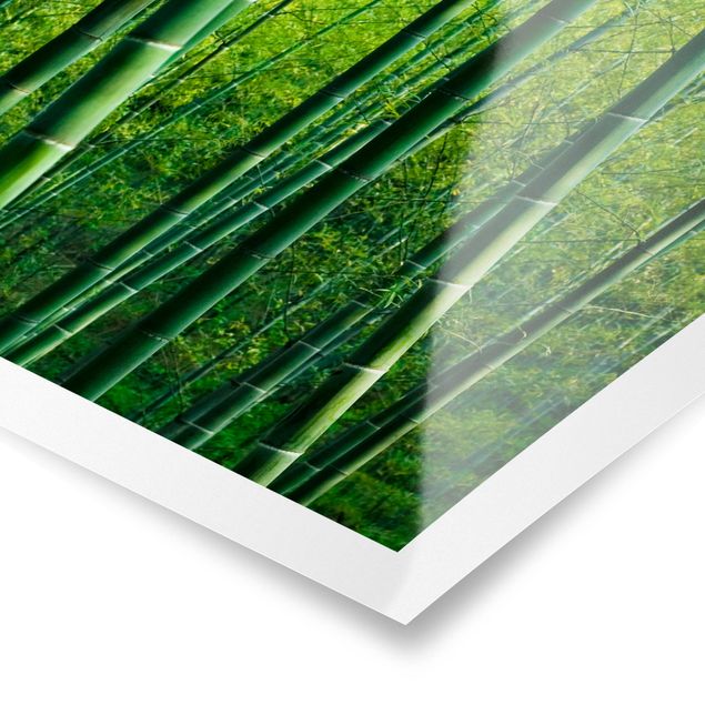 Contemporary art prints Bamboo Forest
