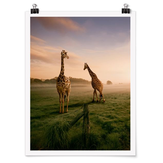 Prints trees Surreal Giraffes