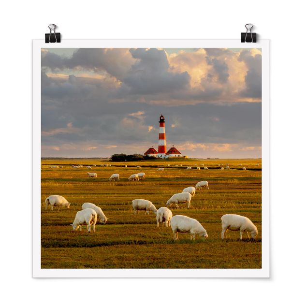Beach canvas art North Sea Lighthouse With Flock Of Sheep