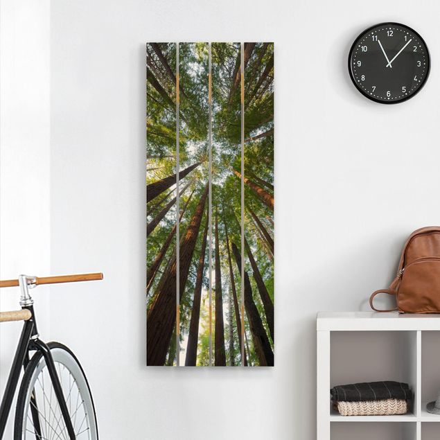 Wood prints landscape Sequoia Tree Tops