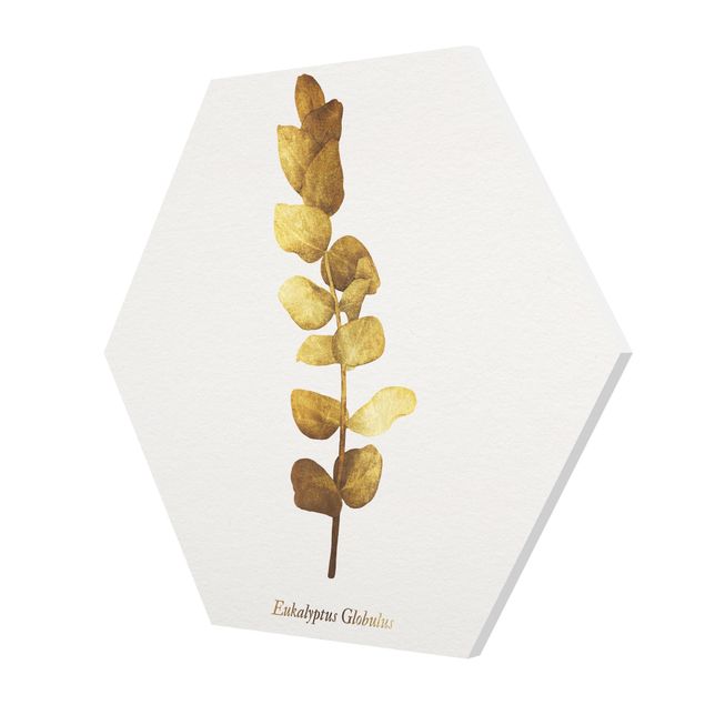 Prints Gold - Eucalyptus