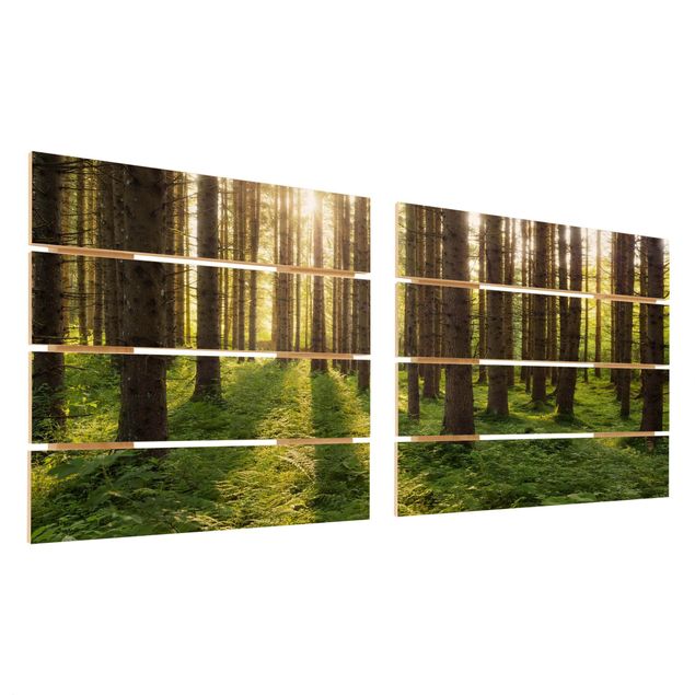 Wood photo prints Sun Rays In Green Forest