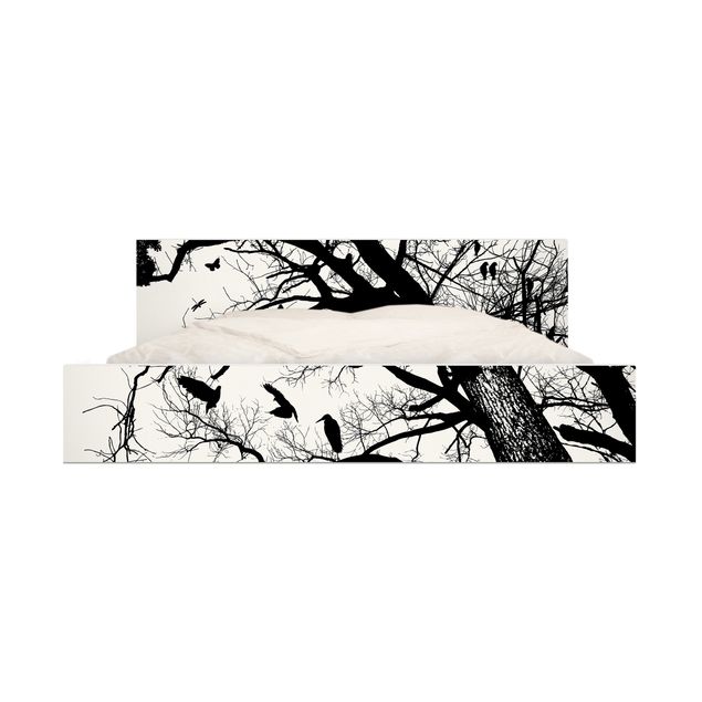 Adhesive films black and white Vintage Tree in the Sky