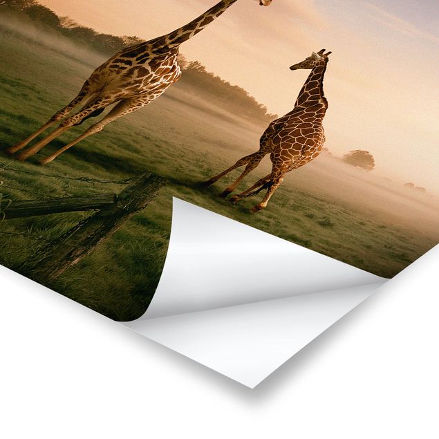 Prints modern Surreal Giraffes