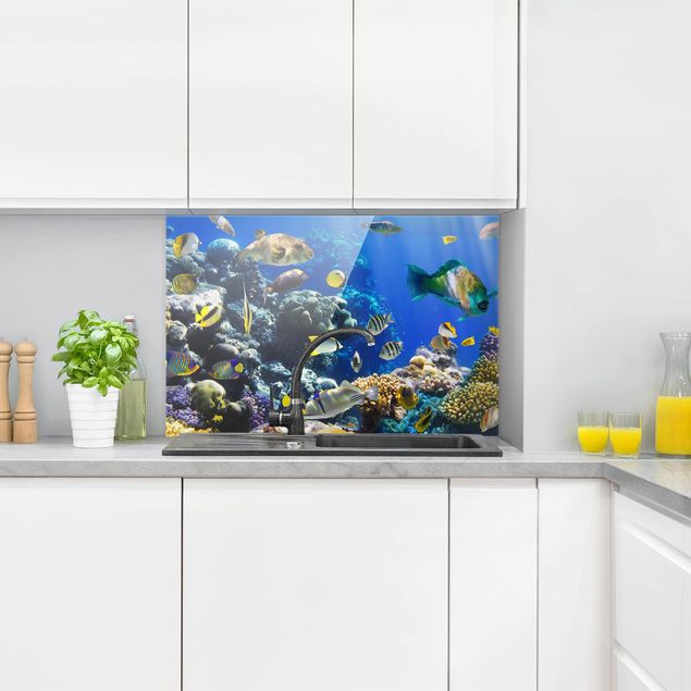 Glass splashback kitchen landscape Underwater Reef