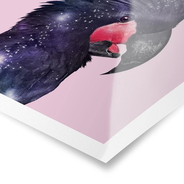 Purple print Cockatoo With Galaxy