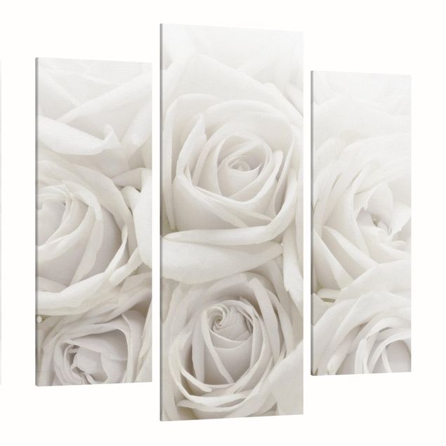 Prints flower White Roses