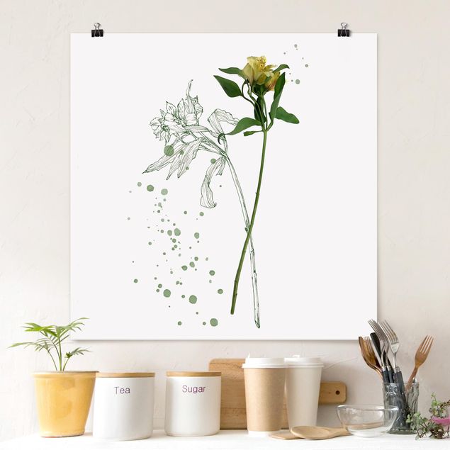 Prints floral Botanical Watercolour - Lily