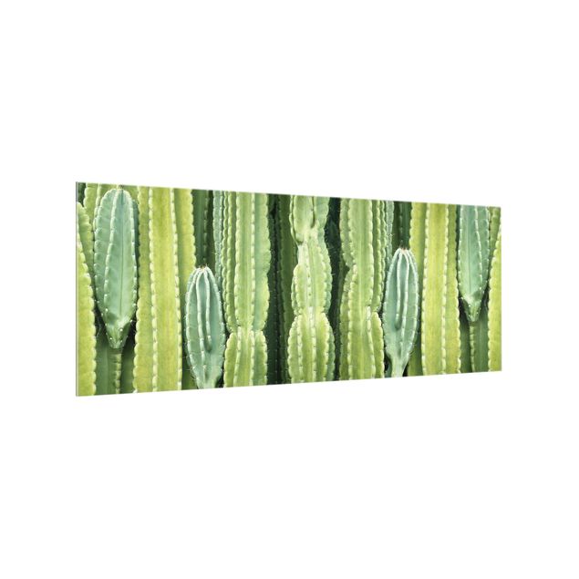 Glass splashback Cactus Wall