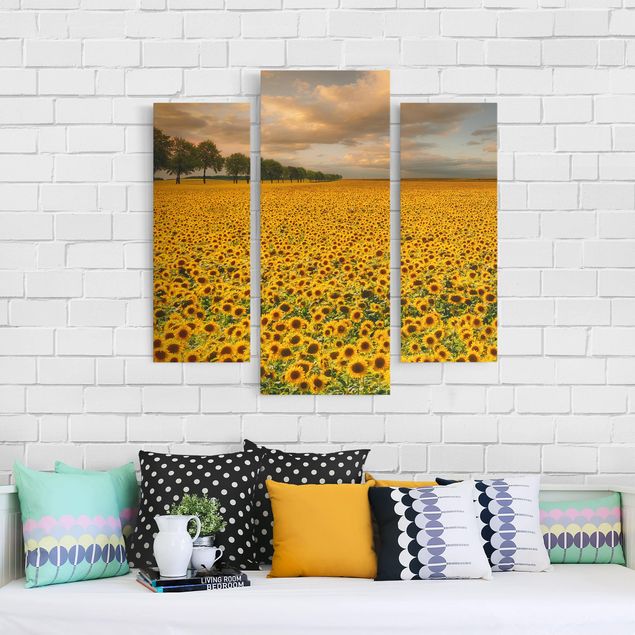Landscape canvas prints Field With Sunflowers