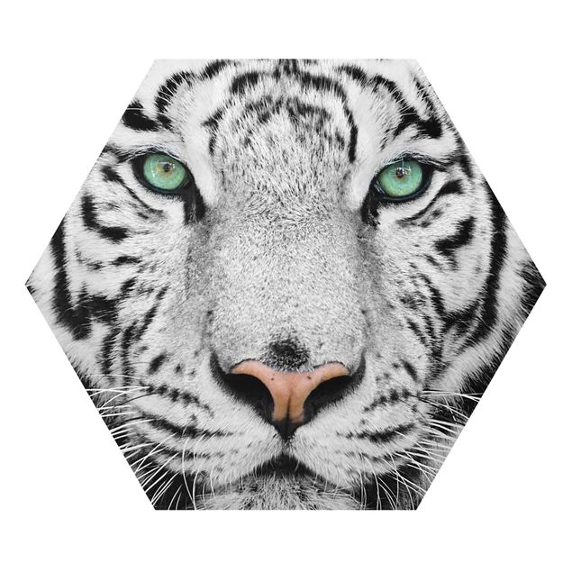 Forex prints White Tiger