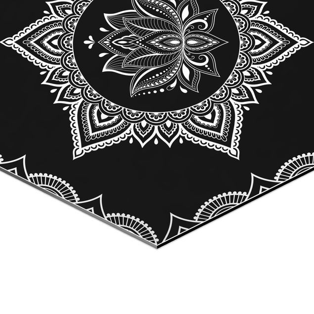Prints Lotus OM Illustration Set Black