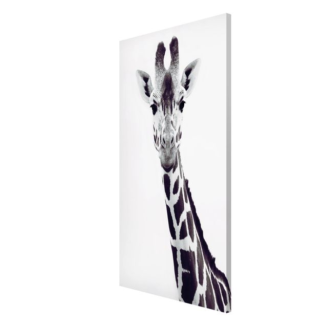 Magnet boards animals Giraffe Portrait In Black And White