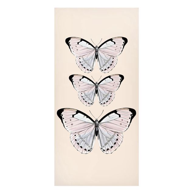 Butterfly print Butterfly On Beige