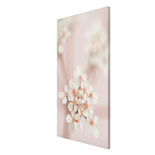 Prints floral Mini Flowers In Pink Light