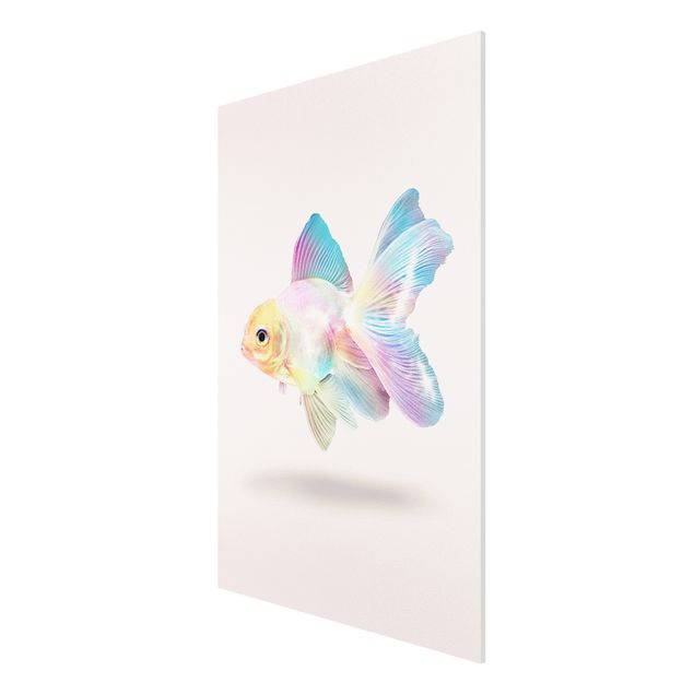 Art posters Fish In Pastel