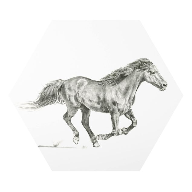 Forex prints Wild Horse Trial - Mare