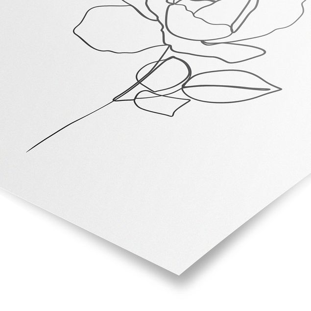 Flower print Line Art Rose Black White