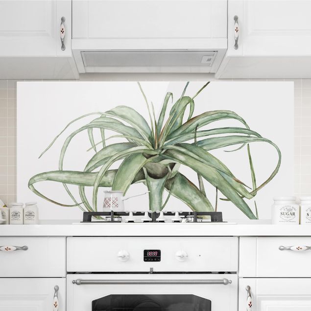 Kitchen Air Plant Watercolor I