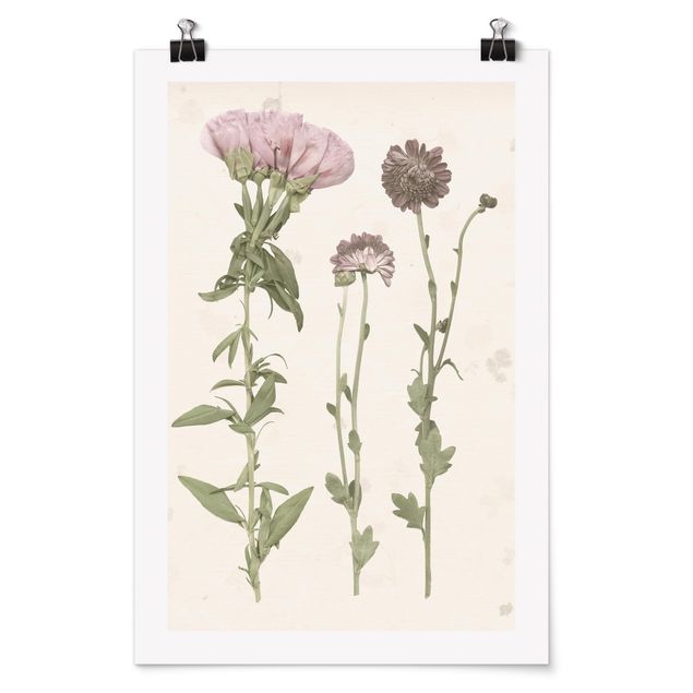 Floral picture Herbarium In Pink III