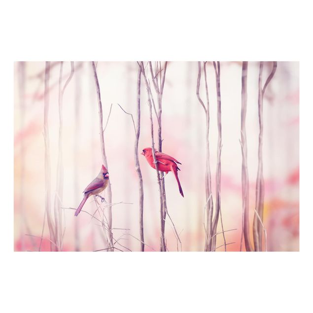 Glass Splashback - Birds on branches - Landscape 2:3