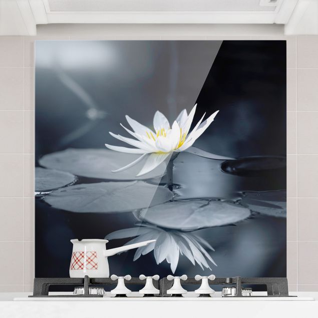 Kitchen Lotus Reflection In The Water