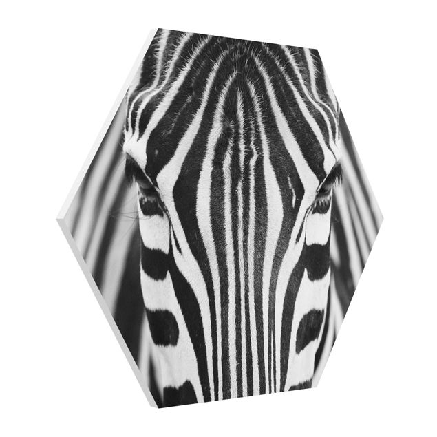 Modern art prints Zebra Look