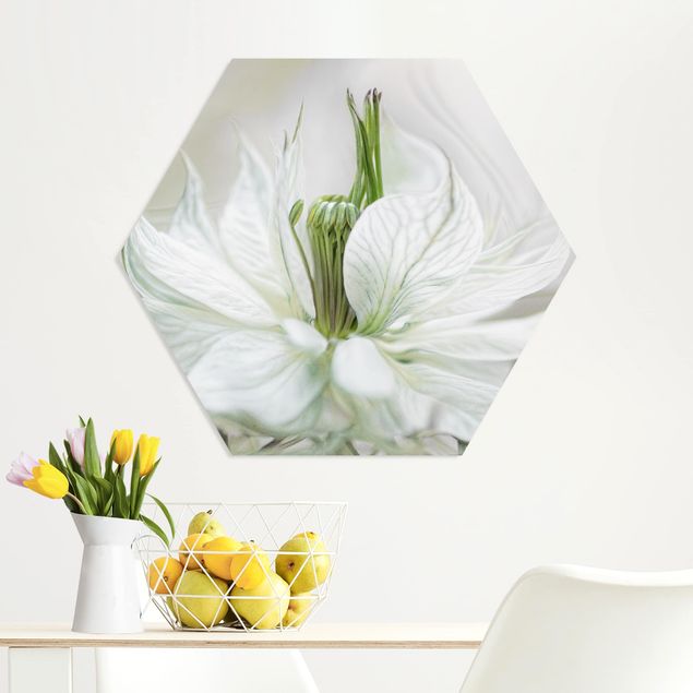Floral canvas White Nigella