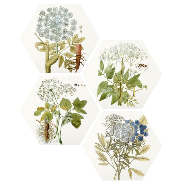 Floral prints Wild Herbs Board Set II
