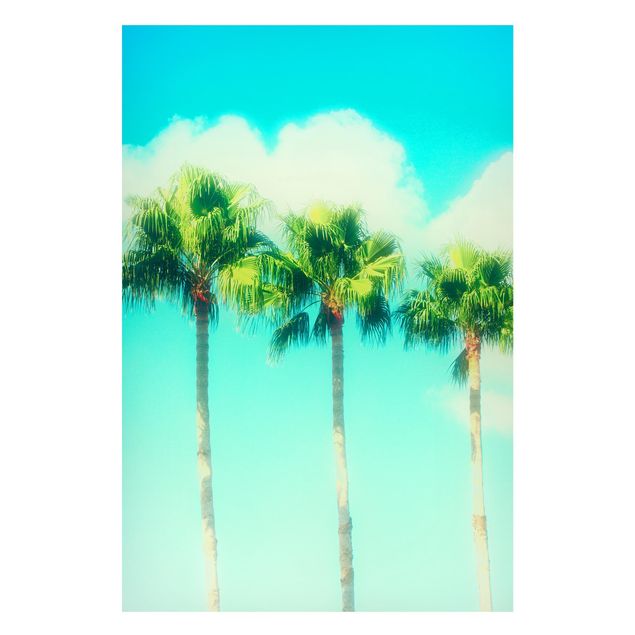 Landscape canvas prints Palm Trees Against Blue Sky