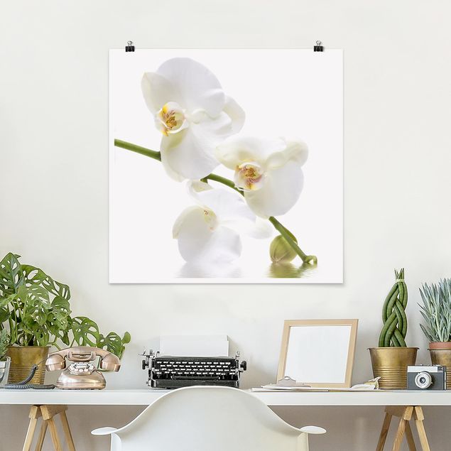 Orchid print White Orchid Waters
