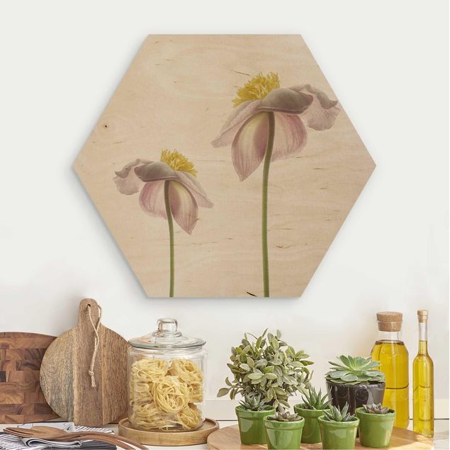 Wood prints flower Pink Anemone Blossoms