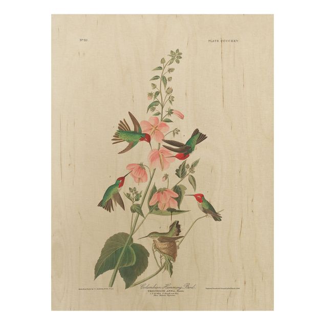 Wood prints flower Vintage Board Colombian Hummingbird