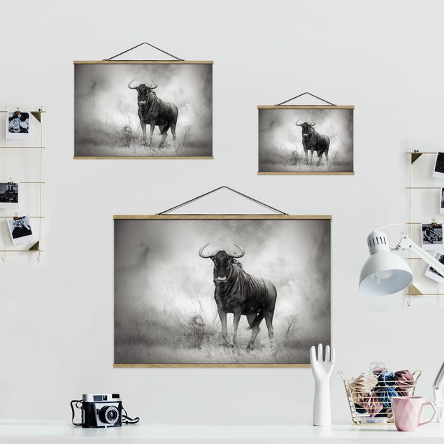 Prints Staring Wildebeest