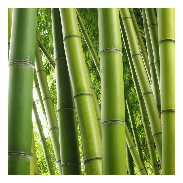 Prints landscape Bamboo Trees No.1