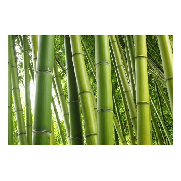 Prints landscape Bamboo Trees No.1