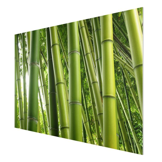 Trees on canvas Bamboo Trees No.1
