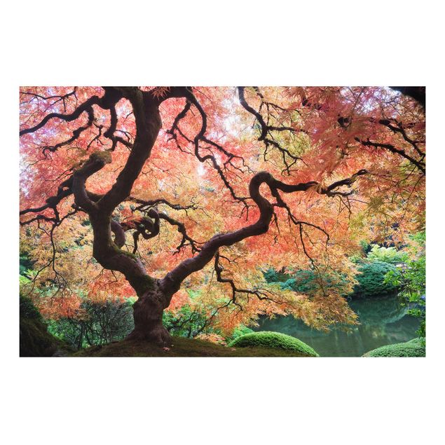 Prints landscape Japanese Garden