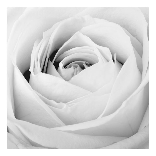 Flower print Close Up Rose