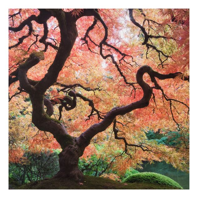 Landscape canvas prints Japanese Garden