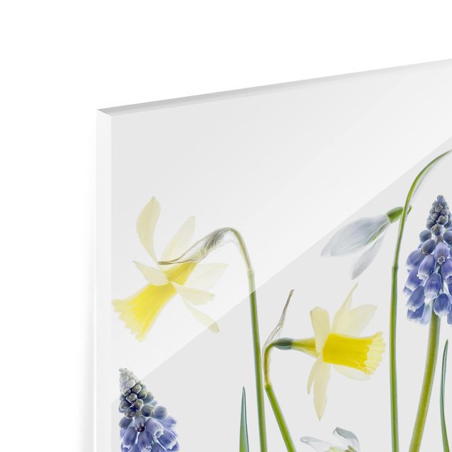 Glass Splashback - Spring Flowering - Landscape 1:2